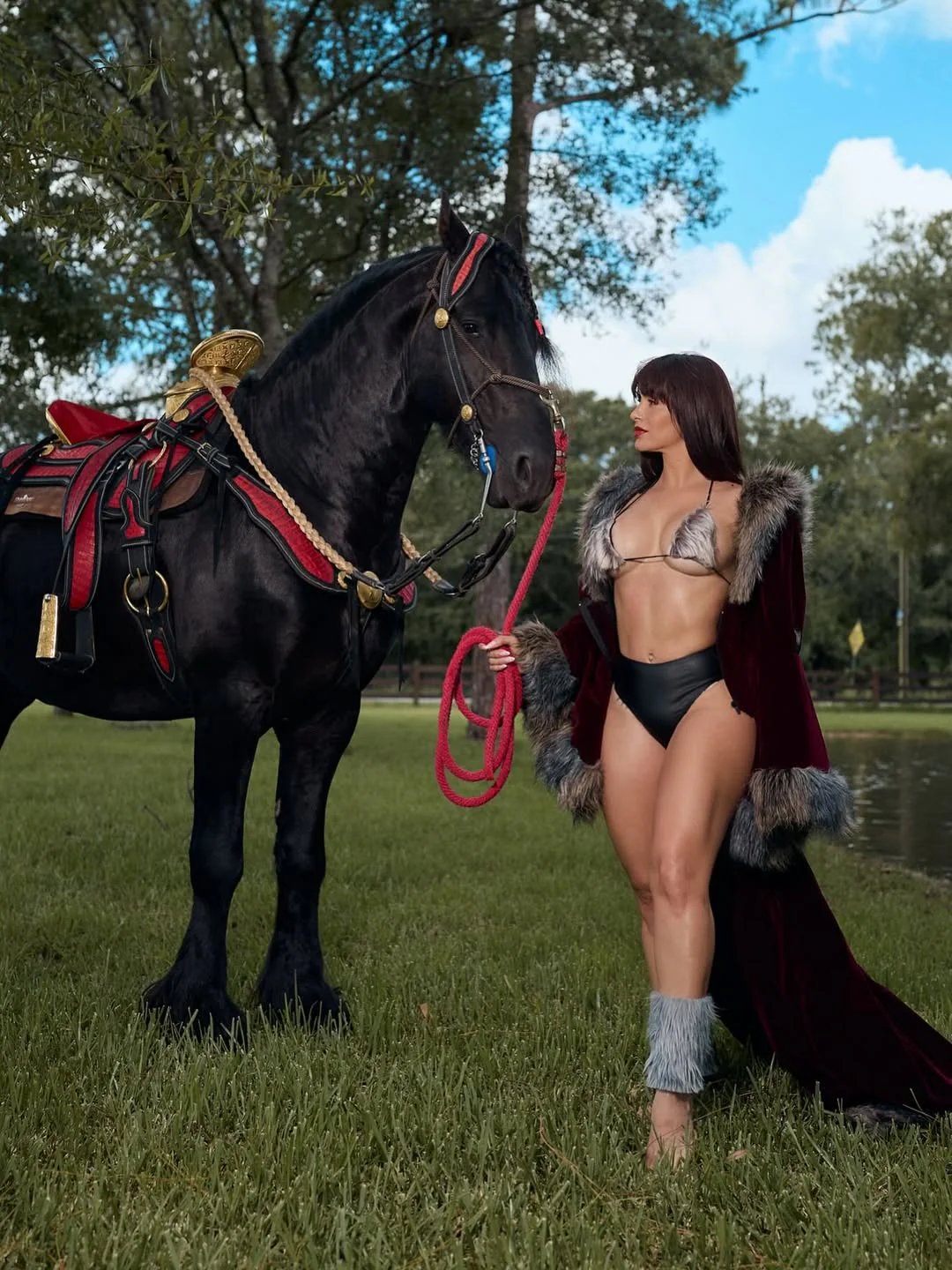 Thumbnail 12
